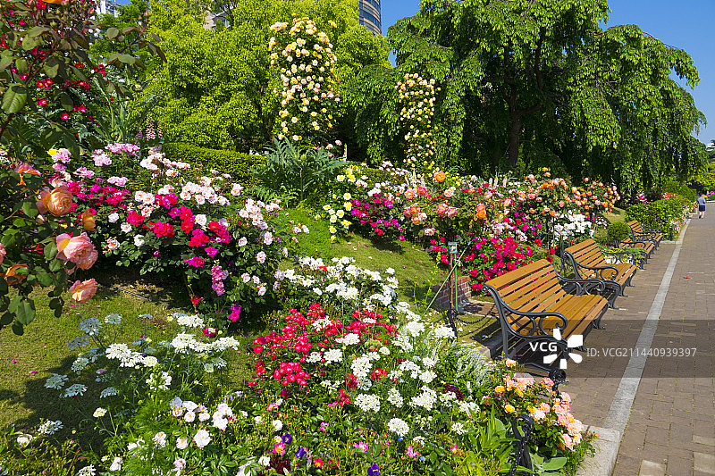 日本横滨市神奈川县的公园图片素材