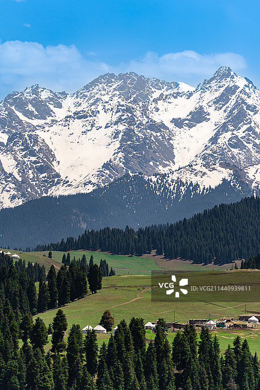 中国·新疆·江布拉克图片素材