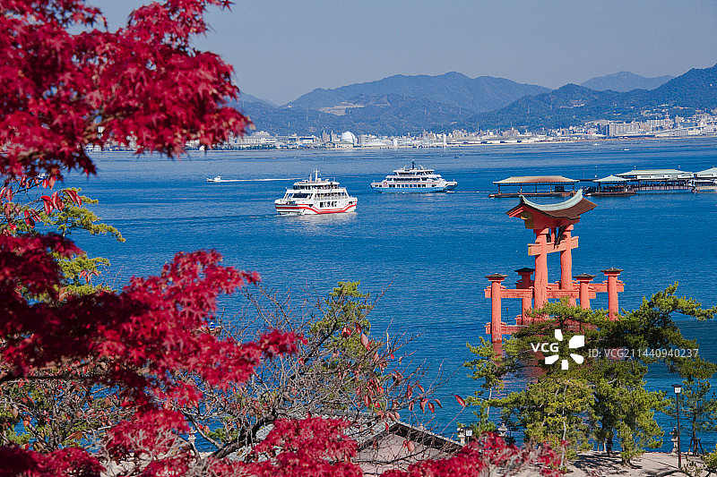 秋叶和宫岛图片素材