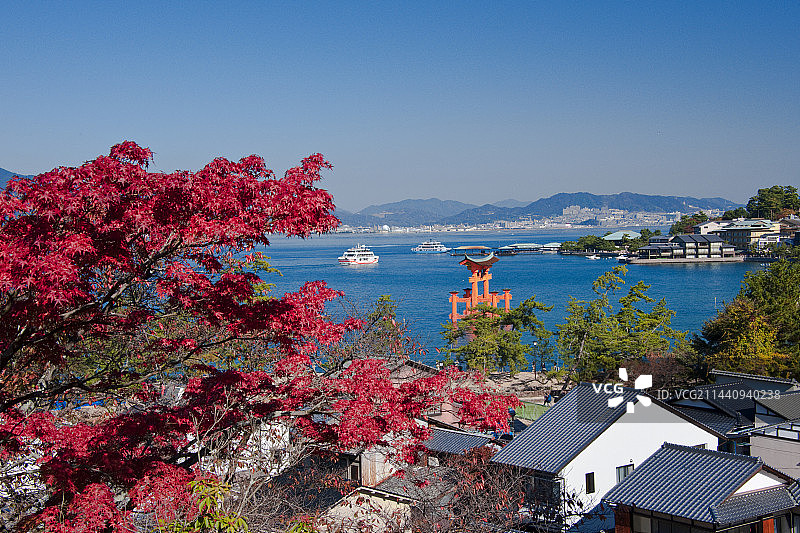 秋叶和宫岛图片素材