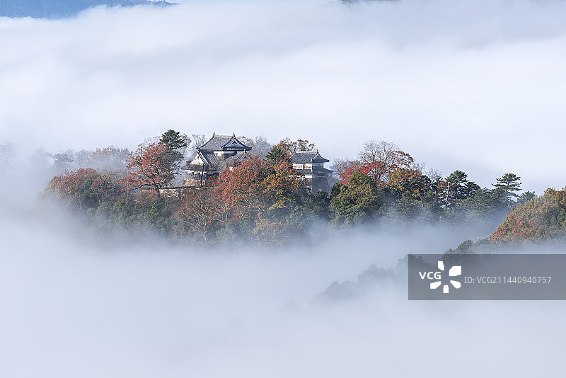 云海中的备中松山城，日本冈山县高梁市图片素材