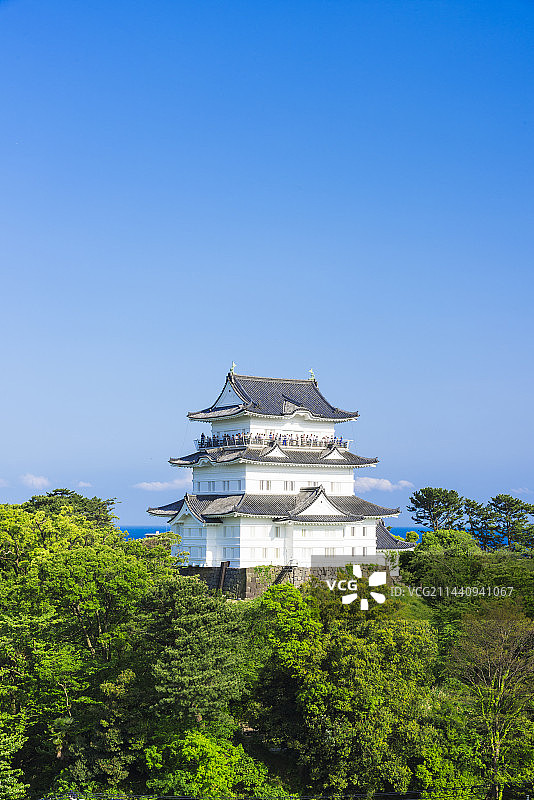 小田原城，日本，神奈川县，小田原，神奈川图片素材