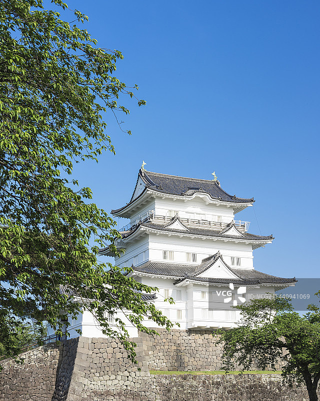 小田原城，日本，神奈川县，小田原，神奈川图片素材