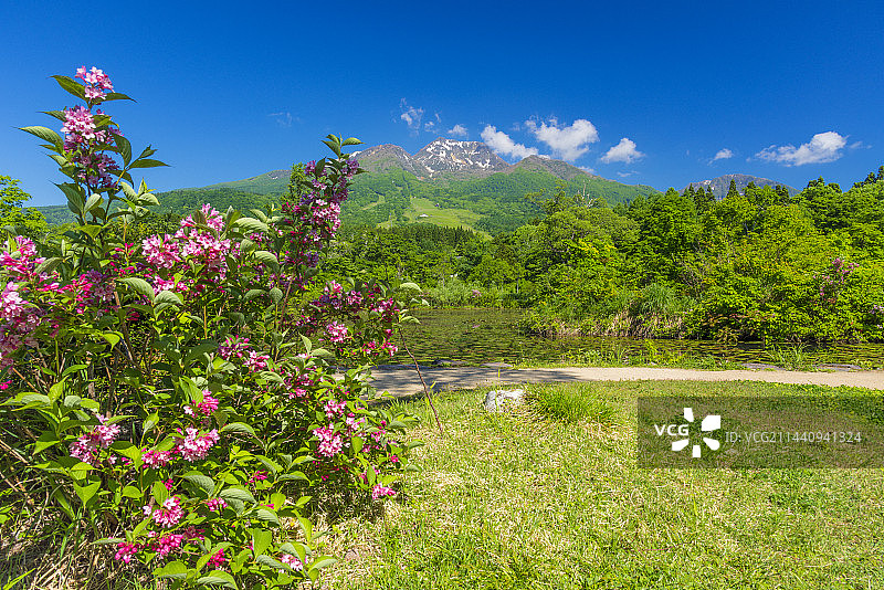 日本新泻县妙高市伊守池与妙高山图片素材