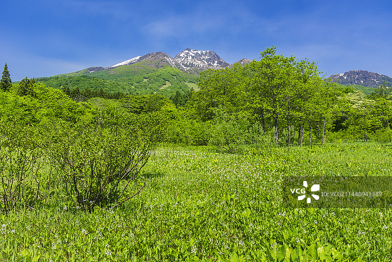 日本妙高山图片素材