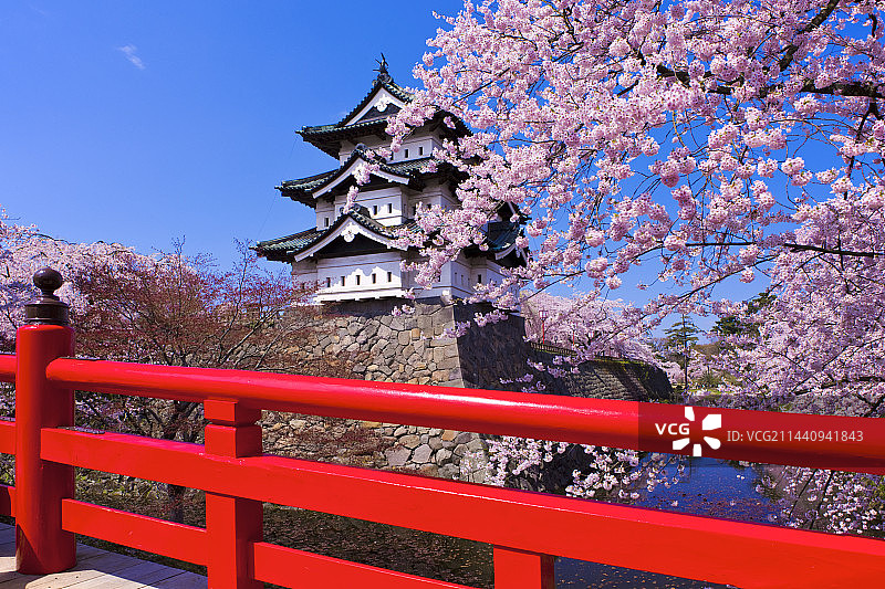 日本青森县弘前城与樱花图片素材
