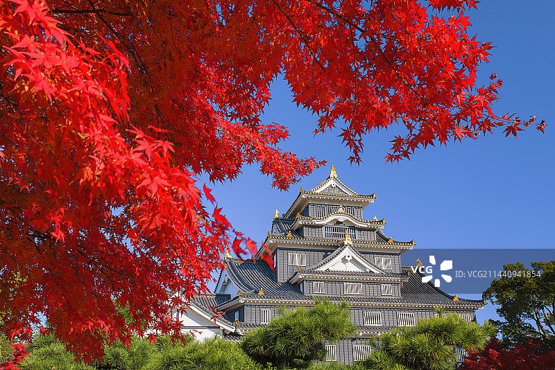 秋色中的冈山城，日本冈山市图片素材
