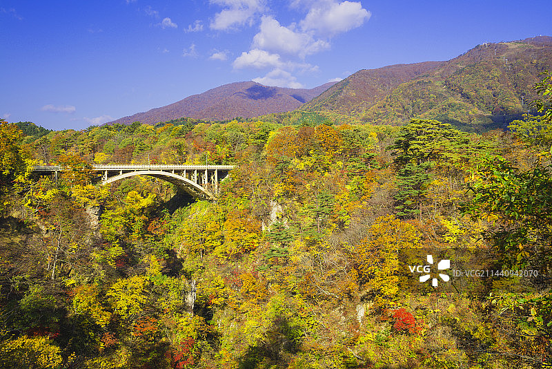 日本宫城县大崎市鸣子峡秋色图片素材