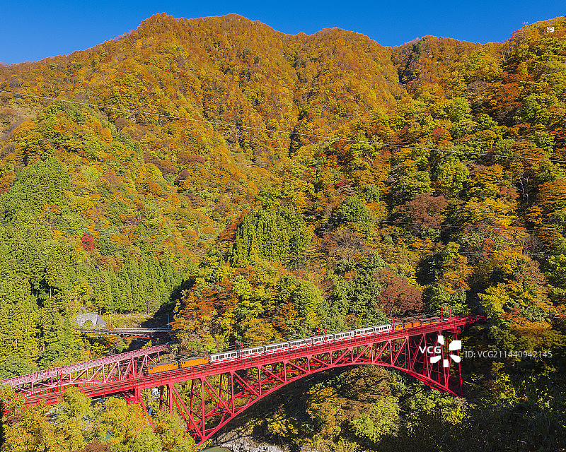 秋叶和黑部峡谷小火车，日本，富山县，黑部，富山图片素材