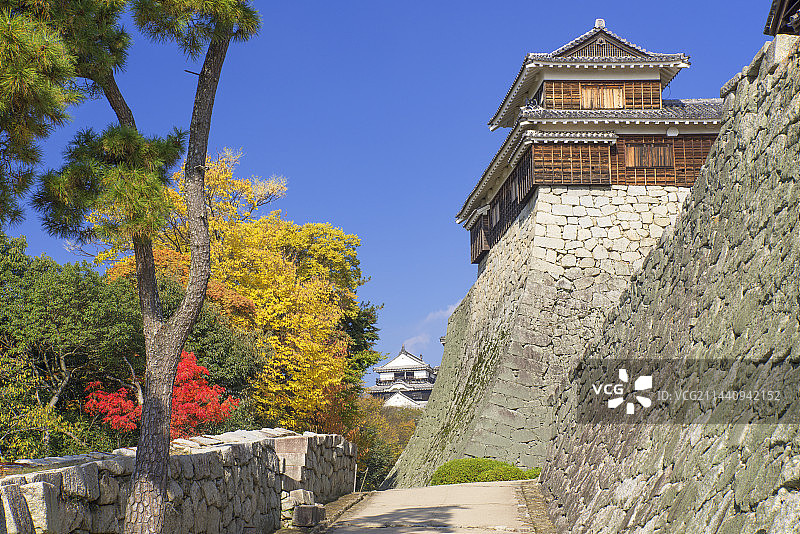 日本爱媛县松山城秋色图片素材