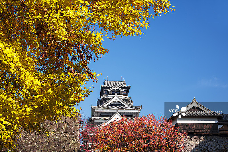 秋叶与熊本城，日本熊本县熊本市图片素材