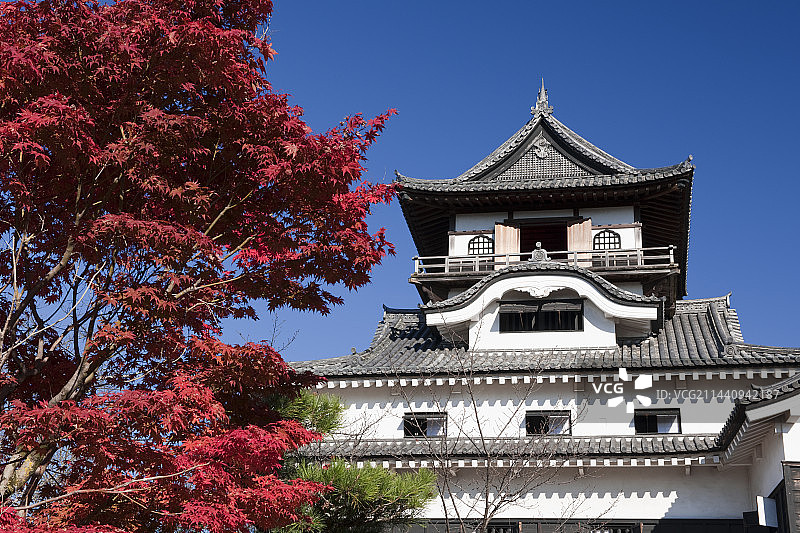 日本爱知县犬山市犬山城与秋叶图片素材