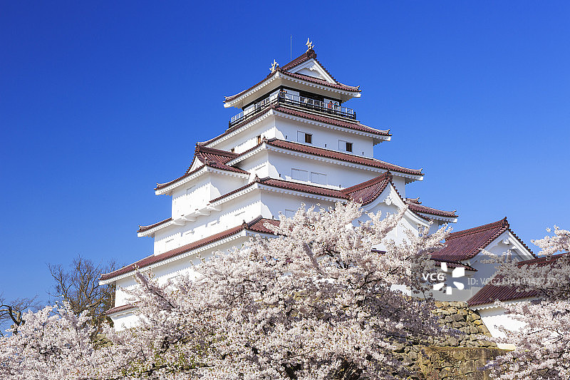 中国福岛县会津若松市鹤城樱花图片素材