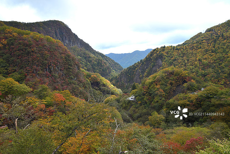 日本栃木县日光市伊吕波山坡图片素材