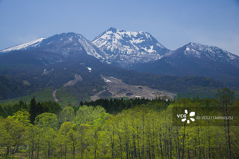妙高山，新泻县，关川村的绿色风景图片素材