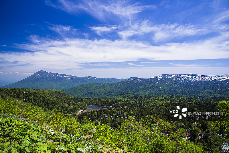 八幡平新叶，八幡平山，岩手县图片素材