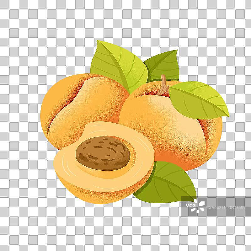 手绘水果杏素材图片素材