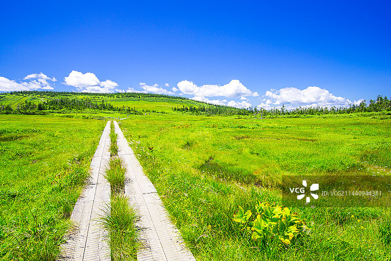 日本岩手县八幡平图片素材