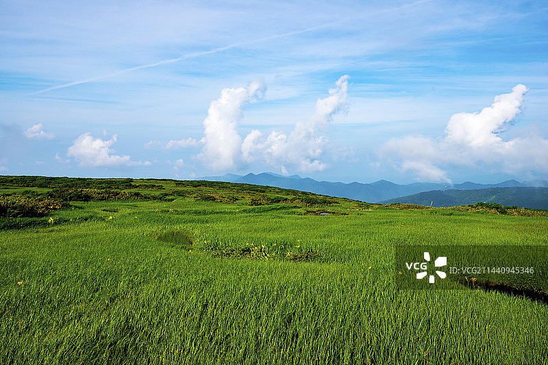 日本月山弥陀原，山形县东田川郡鹤冈市风光图片素材