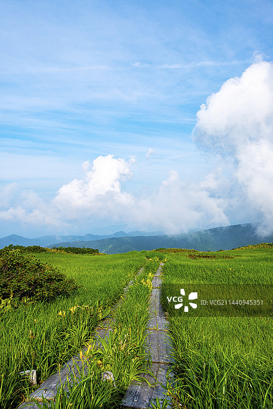 月山弥陀原，日本山形县东田川郡鹤冈市图片素材