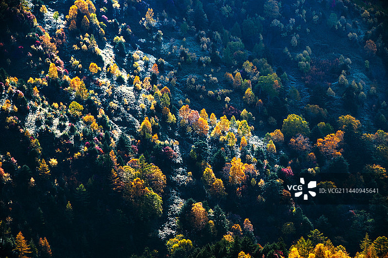 日本长野县志贺高原秋色图片素材