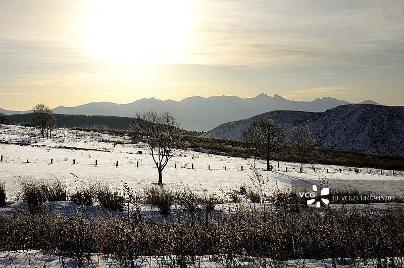 雾峰高原雪景，日本长野县茅野市，诹访图片素材