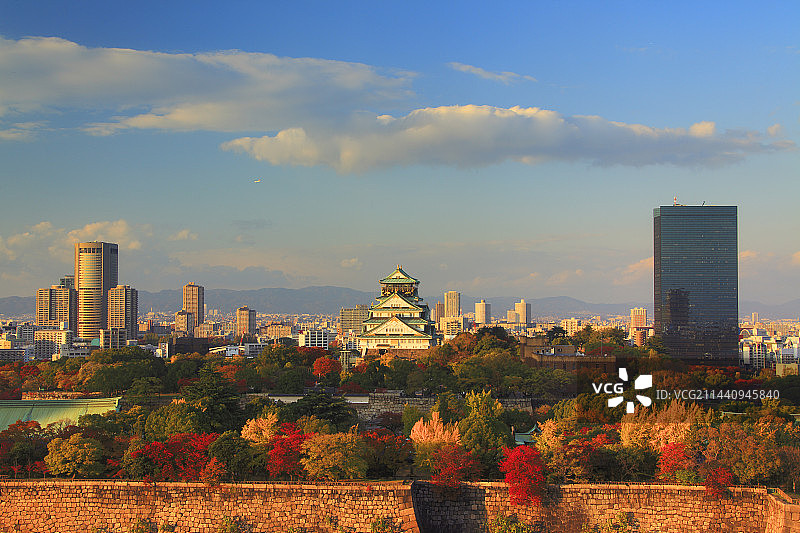 日本大阪秋叶大阪城夜景图片素材