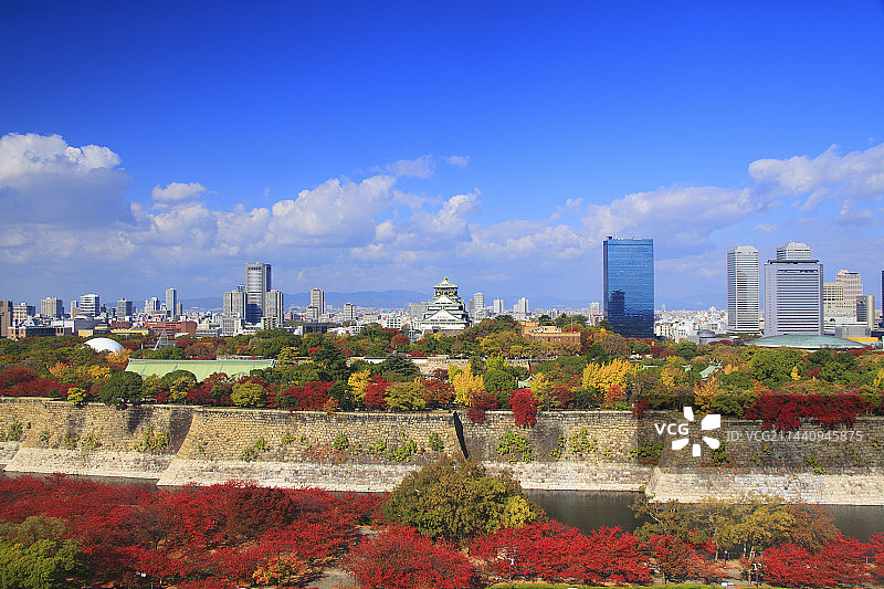 秋叶中的大阪城，位于日本大阪府大阪市图片素材