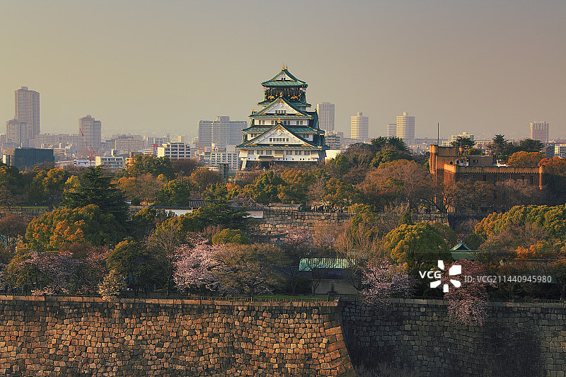 日本大阪城夜景与盛开的樱花图片素材