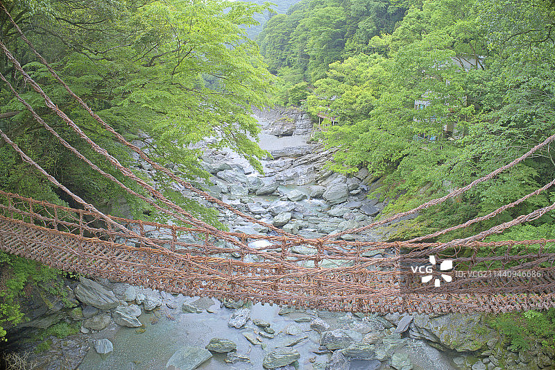 四国德岛县三好市祖谷的早上，蔓桥图片素材