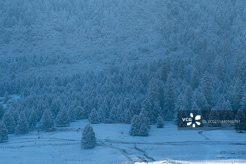 冬天雪后的西藏林芝鲁朗镇田园风光图片素材