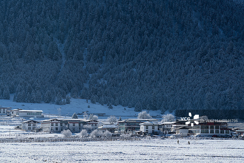 冬天雪后的西藏林芝鲁朗镇田园风光图片素材