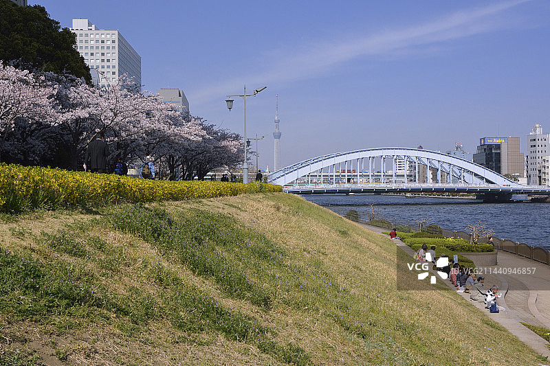 日本东京中央区东京晴空塔和永代桥图片素材
