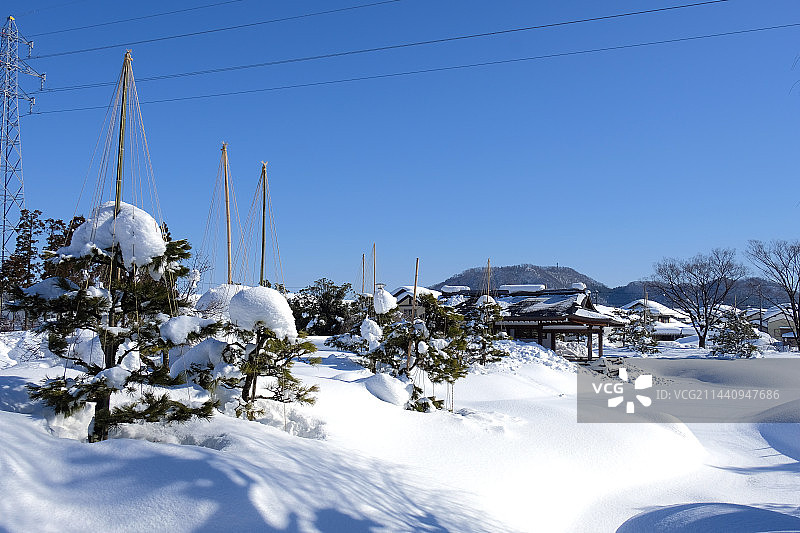 冬季的日本福井县紫式部公园图片素材
