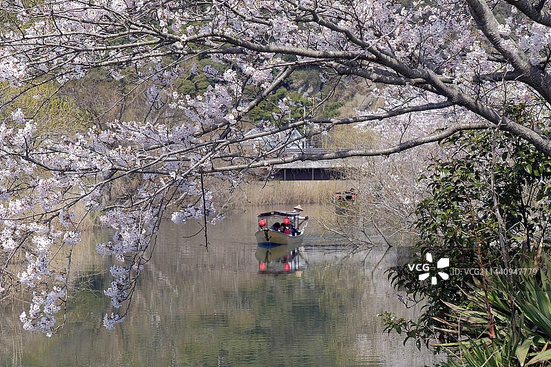 日本滋贺县近江八幡市的河畔之旅图片素材