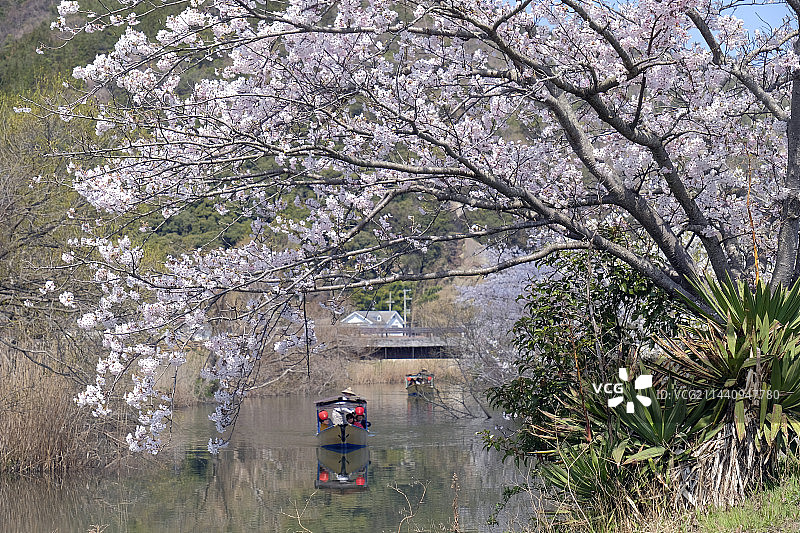 日本滋贺县近江八幡市的河畔之旅图片素材