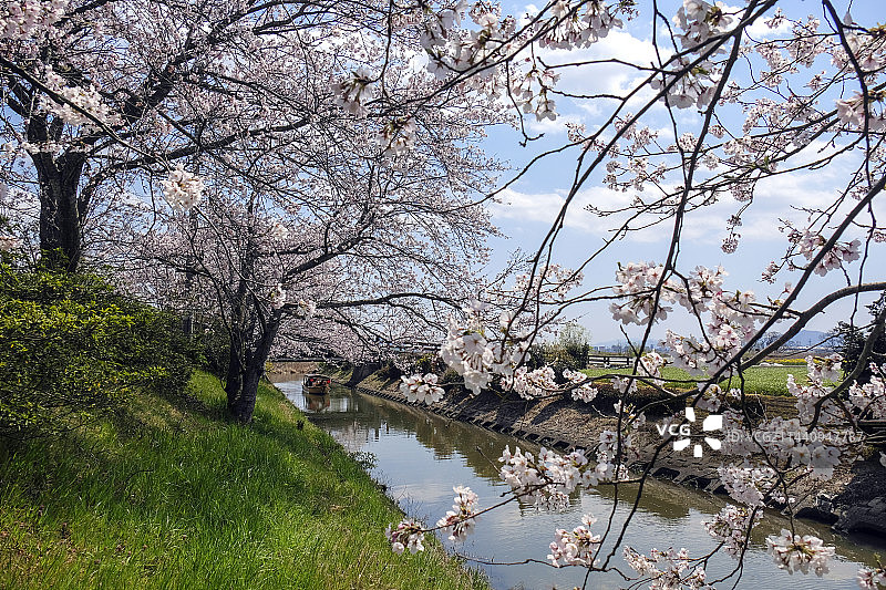 日本滋贺县近江八幡市的河畔之旅图片素材