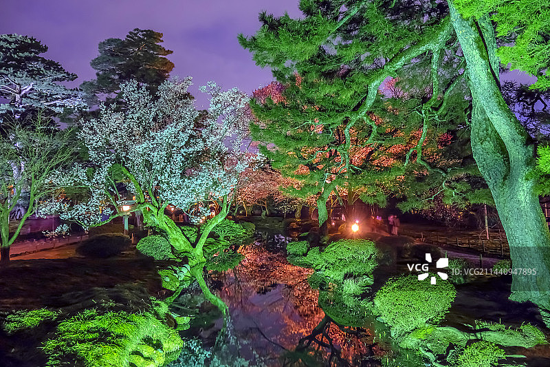 日本金泽兼六园曲水夜景图片素材