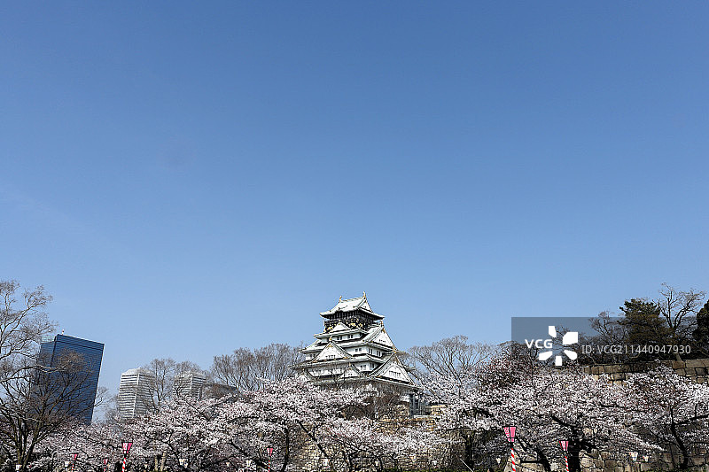 大阪城与樱花（大阪府，大阪）图片素材
