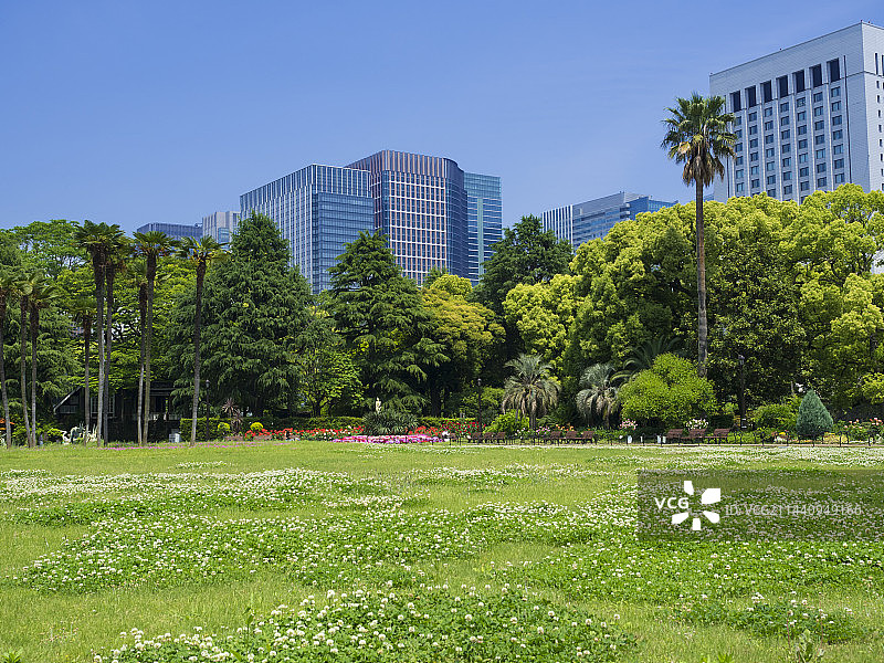 日本东京千代田区日比谷公园的春天图片素材