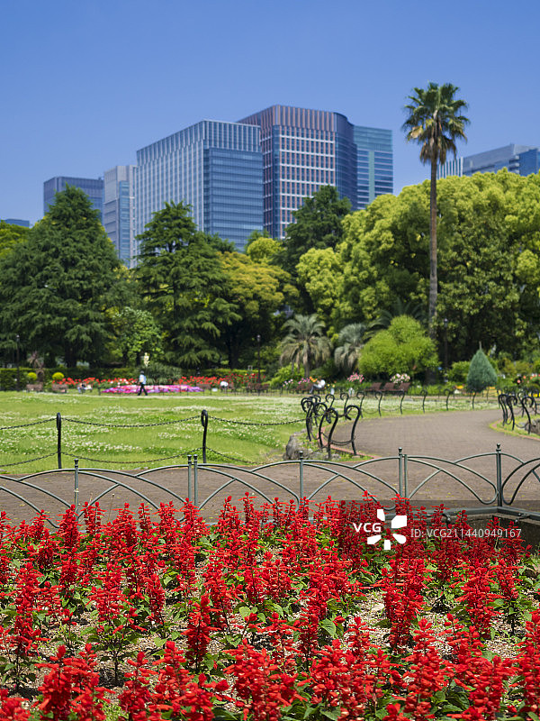 日本东京千代田区日比谷公园的春天图片素材