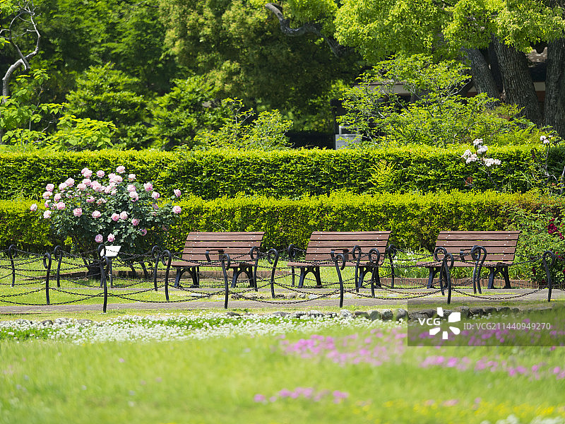 日本东京千代田区日比谷公园的春天图片素材