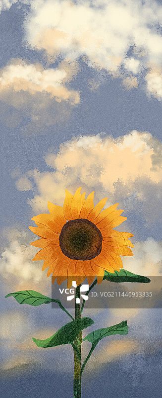 向日葵图片素材