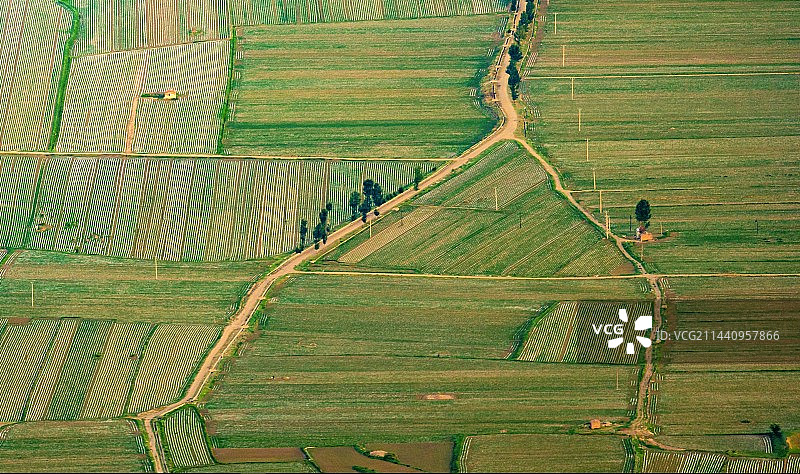 农业领域的高角度视角图片素材