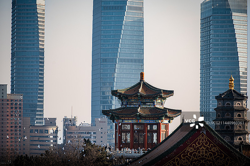 青岛湛山寺图片素材