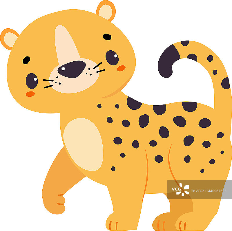 可爱的小豹子或小美洲虎幼崽行走图片素材