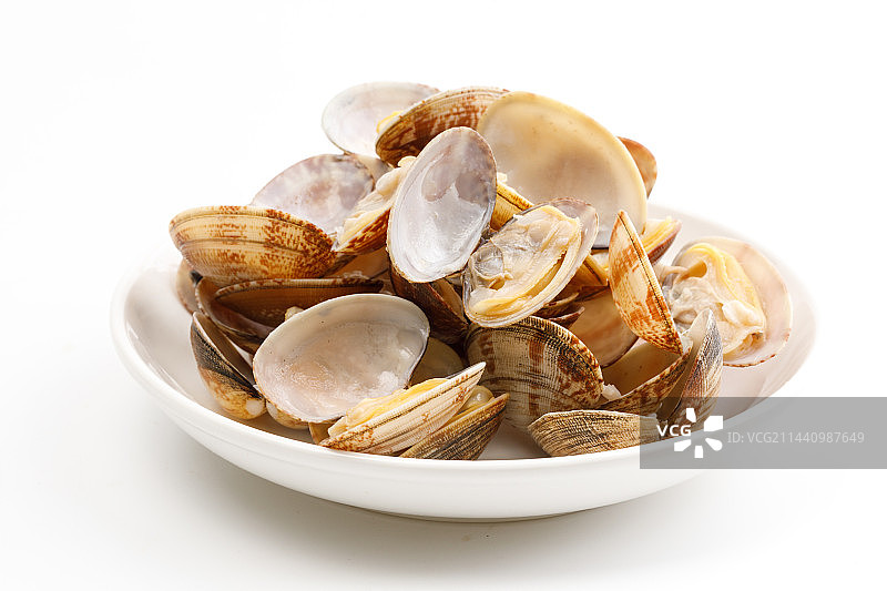 煮熟的花蛤图片素材