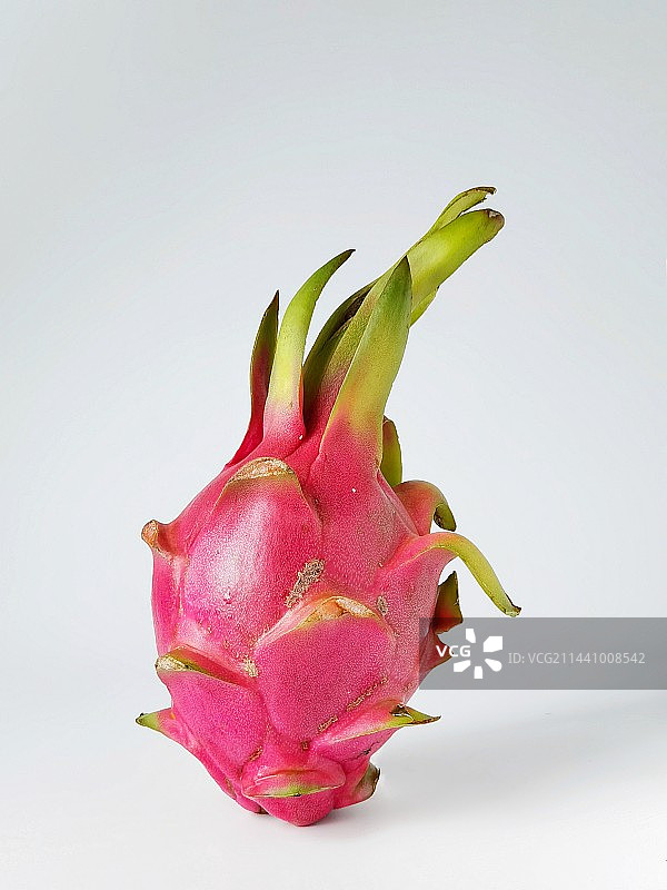 火龙果图片素材