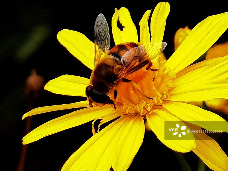 爱你没商量图片素材