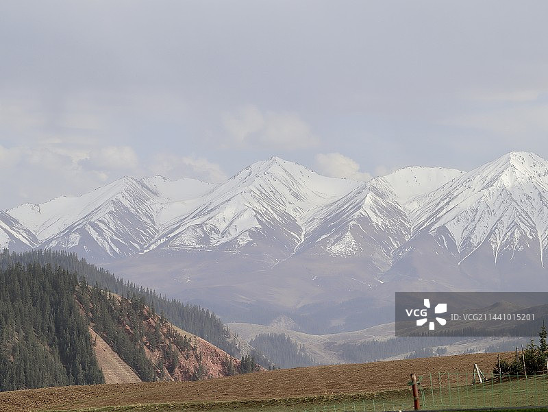 卓尔山景区牛心山雪山图片素材